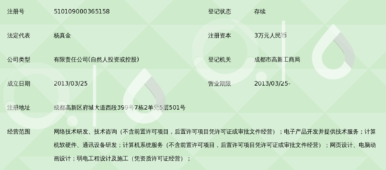 成都享网网络科技 专业网络技术服务的创新引领者